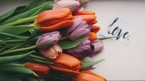 PGSD Mother's Day